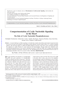 Compartmentation of Cyclic Nucleotide Signaling in the Heart