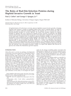 The Roles of Bud-Site-Selection Proteins during Haploid Invasive