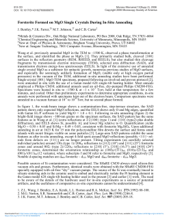 Forsterite Formed on MgO Single Crystals During In