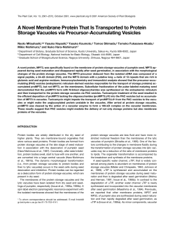 A Novel Membrane Protein That Is Transported to