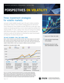 PERSPECTIVES ON VOlaTIlITy