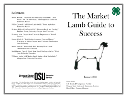 Market Lamb Guide - The Judging Connection .com