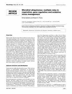 Microbial ubiquinones