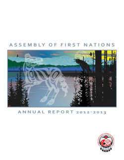 2012-13 Annual Report - Assembl&eacute;e des Premi&egrave;res Nations