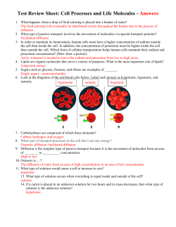 Test Review Sheet: Cell Processes and Life Molecules