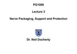 PG1006 Lecture 3 Nervous Tissue 2