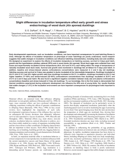 Slight differences in incubation temperature affect