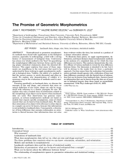 PDF Version