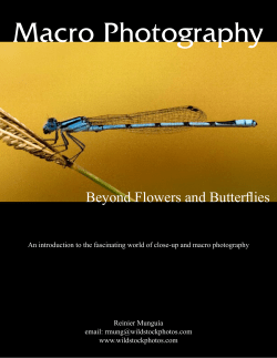 Macro Photography