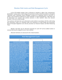 Risk Management Cycle