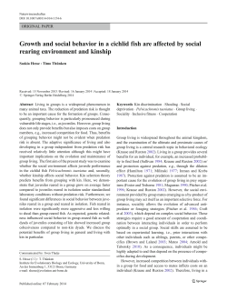 Growth and social behavior in a cichlid fish are affected by social