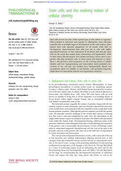 Stem cells and the evolving notion of cellular identity