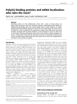 Poly(A)-binding proteins and mRNA localization