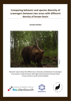 Comparing behavior and species diversity of scavengers between