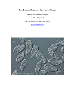 Tetrahymena Movement Experiment Manual
