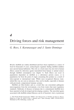 Driving forces and risk management pdf, 107kb