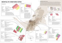 Montalto_vineyards map_A3