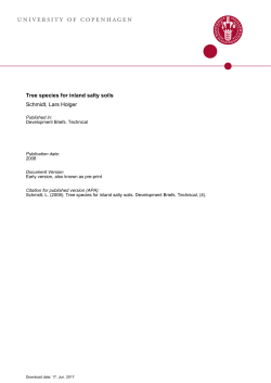 univERsity oF copEnhAGEn