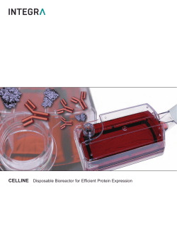 CELLINE Disposable Bioreactor for Efficient Protein Expression