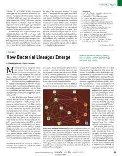 How Bacterial Lineages Emerge