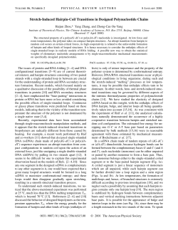 Stretch-Induced Hairpin-Coil Transitions in Designed Polynucleotide