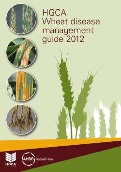 HGCA Wheat disease management guide