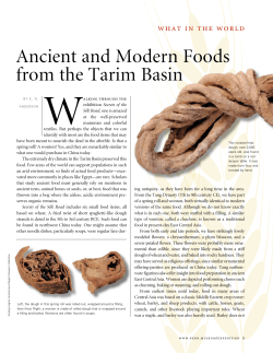 Ancient and Modern Foods from the Tarim Basin