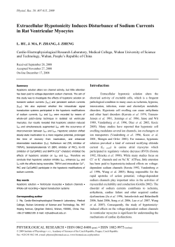 Full version (PDF file)