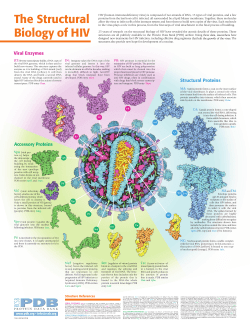 The Structural Biology of HIV