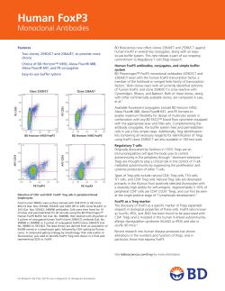 Human FoxP3 - Monoclonal Antibodies