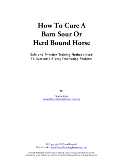 The Barn Sour and Herd Bound Horse