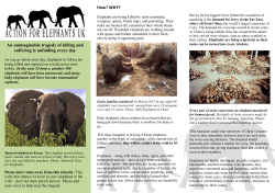 An unimaginable tragedy of killing and suffering is unfolding every