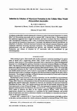 Induction by Ethylene of Macrocyst Formation in the
