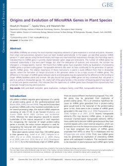 Origins and Evolution of MicroRNA Genes in Plant Species