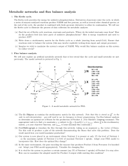 Metabolic networks and flux balance analysis