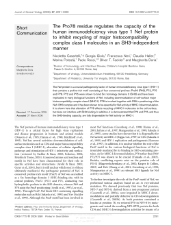 The Pro78 residue regulates the capacity of the human