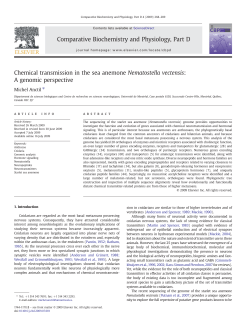 Chemical transmission in the sea anemone Nematostella vectensis