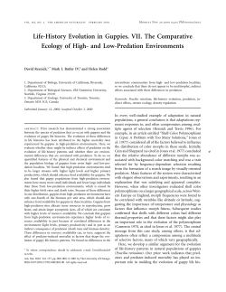 Life-History Evolution in Guppies. VII. The Comparative