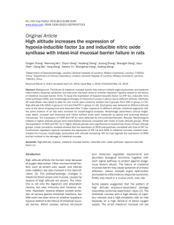 High altitude increases the expression of hypoxia