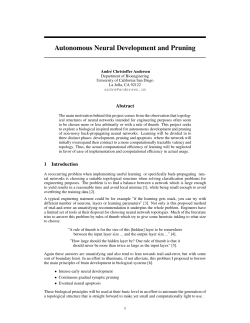 Autonomous Neural Development and Pruning