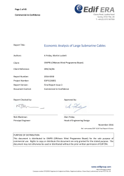 Economic Analysis of Large Submarine Cables