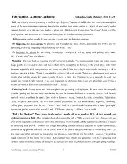 Fall Planting / Autumn Gardening 2010