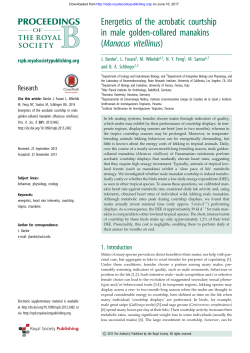 Energetics of the acrobatic courtship in male golden