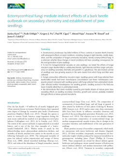 Ectomycorrhizal fungi mediate indirect effects of a bark beetle