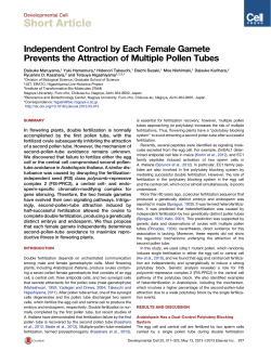 Short Article