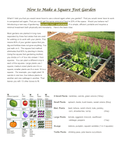 How to Make a Square Foot Garden
