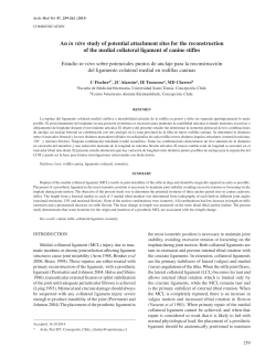 An in vitro study of potential attachment sites for the