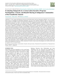Evaluating Safeguards in a Conservation Incentive Program