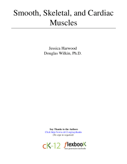 Smooth, Skeletal, and Cardiac Muscles
