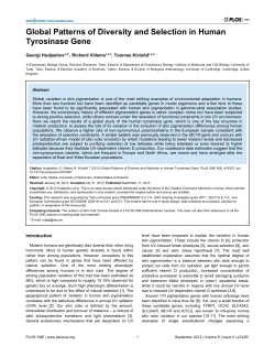 Global Patterns of Diversity and Selection in Human Tyrosinase Gene